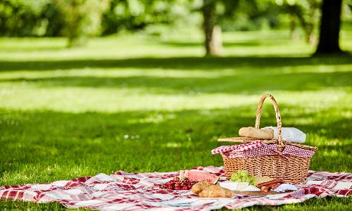 Picnic and Play: Fall Harvest 