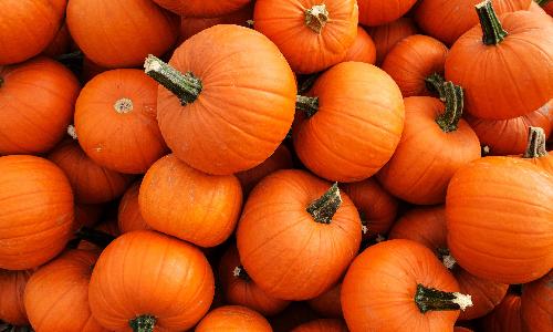 Pumpkin Party
