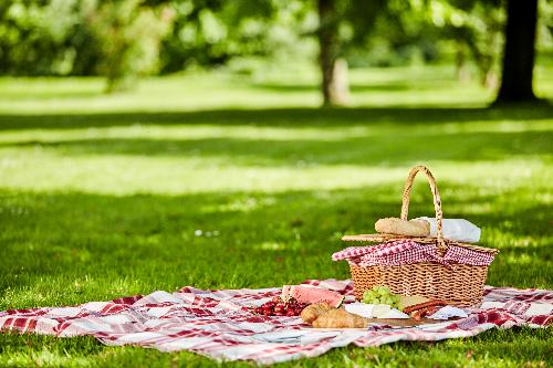 Picnic and Play: Thankfulness & Sharing