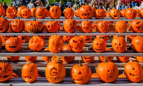 Pumpkin Palooza