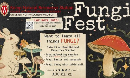 Fungi Fest