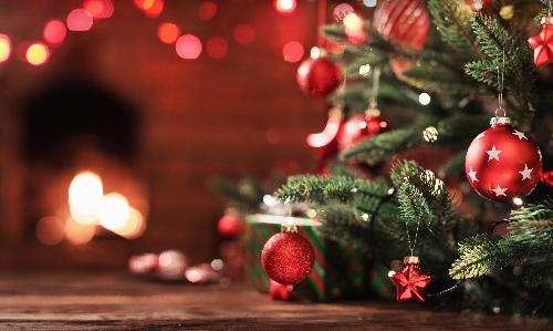 Festival of Trees 