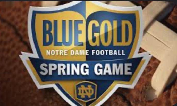 Blue Gold game