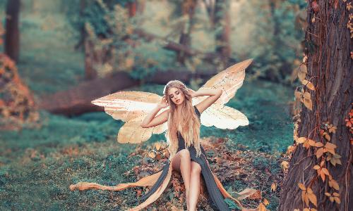 Girl Scout Fairy Party