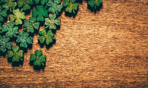 Neville Dinner Series - Echoes of Samhain: Tracing Irish Roots in Modern Halloween by Julianne Stanz 
