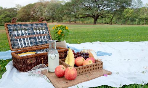 Picnic and Play: Teddy Bear Picnic