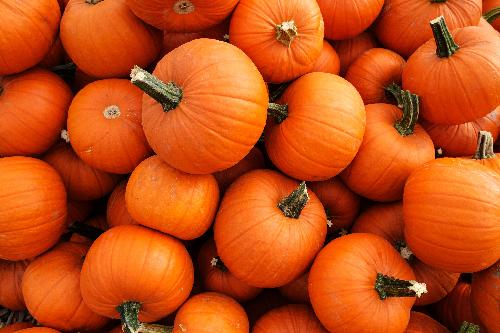 Northwoods Children's Museum to host Pumpkin Party