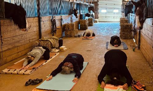 Yoga with Horses