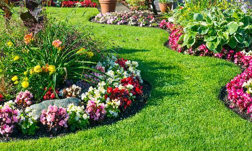 Locktenders Native Garden Open House 