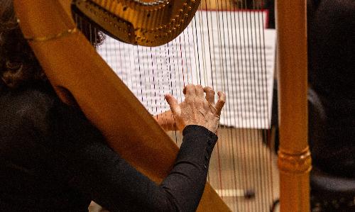 Neville Dinner Series: The Gaelic Harp