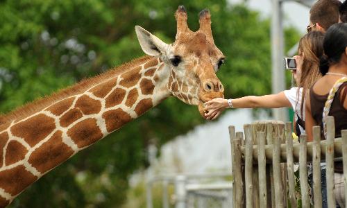 Mother’s Day at the Zoo