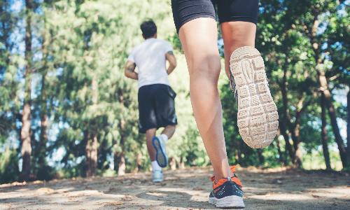 Rib Mountain Trail Races