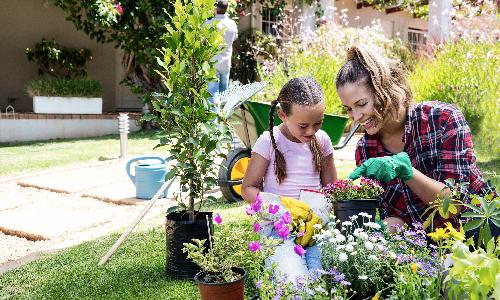 Growing and Showing Blue Ribbon Produce and Flowers