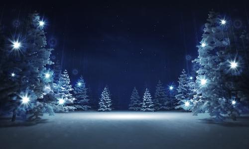 Winter Wonderland Bazaar and Craft Sale