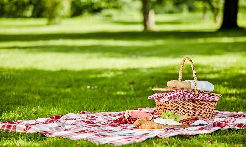 Picnic and Play: April Showers