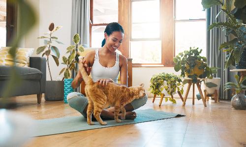 Yoga with Kitties