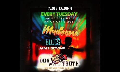 Mudbone Blues and Beyond Band