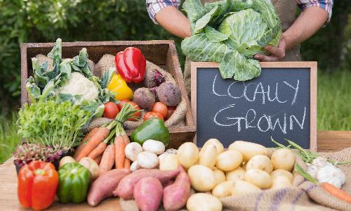 Seymour Farmers’ Market 
