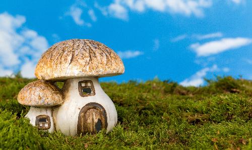 Fairy and Gnome Homes