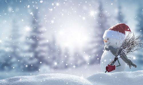 Picnic and Play: Fun in the Snow 
